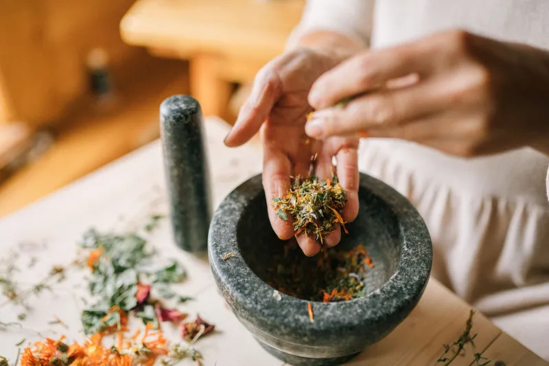 Roots, Remedies, and Revenue: Indigenous Wellness Practitioners Are Turning Ancestral Knowledge Into Thriving Livelihoods